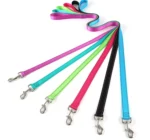 Buy Light Nylon Dog Leash Online in Rwanda