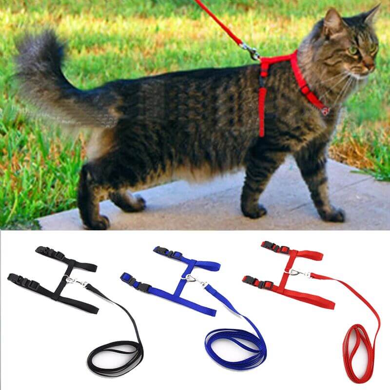 Adjustable Leash & Harness Set for Cats Adjustable Leash & Harness Set for Cats