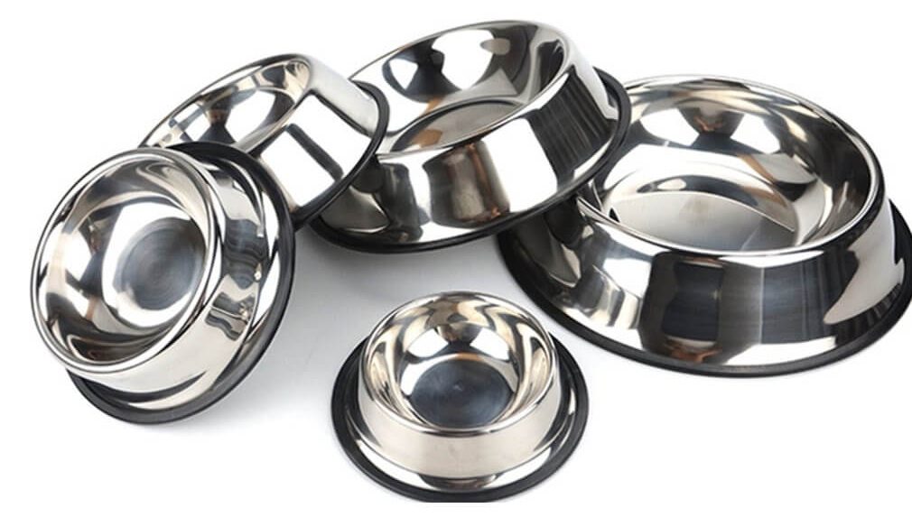 Best stainless steel dog bowl for food & water Buy in Rwanda on Petsasa pet store