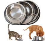 Buy Stainless Steel Feeding and Water Cat & Dog Bowl from petsasa pet store in Kigali Rwanda