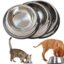 Buy Stainless Steel Feeding and Water Cat & Dog Bowl from petsasa pet store in Kigali Rwanda