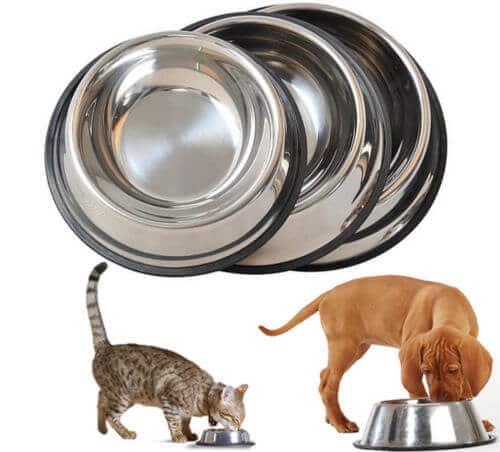 Buy Stainless Steel Feeding and Water Cat & Dog Bowl from petsasa pet store in Kigali Rwanda