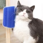 Catit Self Groomer Cat Brush toy with catnip inside on Petsasa petstore kenya