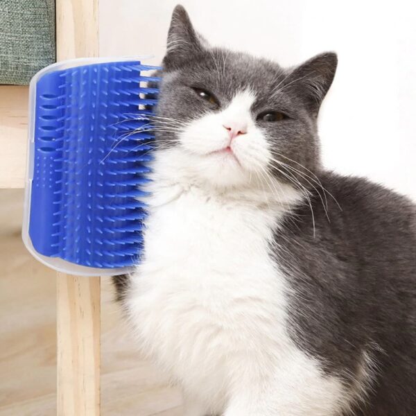Catit Self Groomer Cat Brush toy with catnip inside on Petsasa petstore kenya