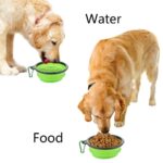 Outdoors Folding & Portable Silicone Dog Bowl, 650ml - Image 2