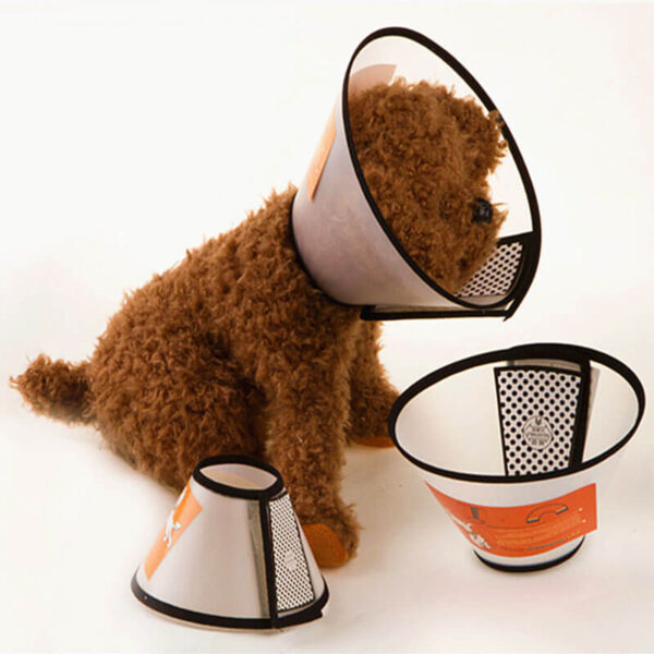 Buy Recovery Cone Collar for dog or cat in Rwanda on spawtive veterinary