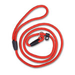Spawtive P-Chain Training-Walking Red Leash in Rwanda