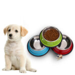 Stainless-Steel-Pet-Food-Feeder-for-Small-Medium-Dogs-Cats-Dog-Drinking-Water-In-Kigali-Rwanda