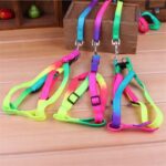 Lucky Rainbow Adjustable Dog Leash & Harness Set, For small dogs - Image 2