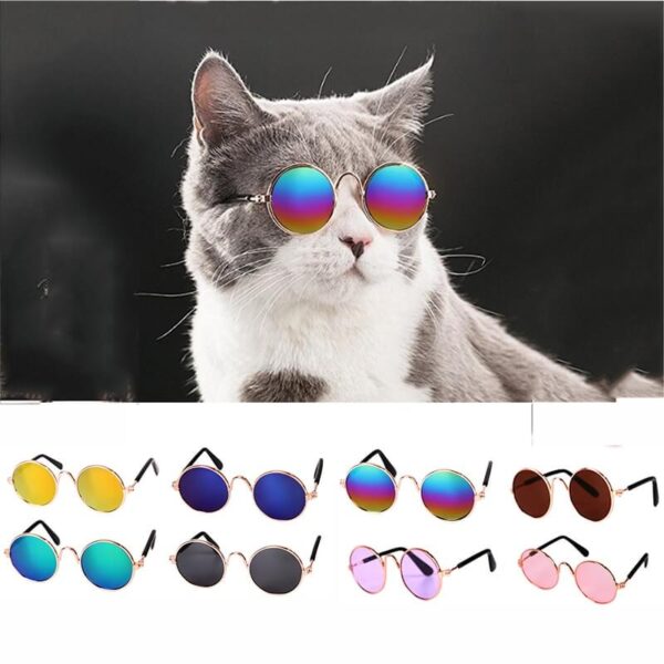 Buy-Pet-Cat-Dog-Sunglasses-For-Cats-Dogs-Eye-Wear-Snglasses-In-Rwanda
