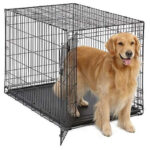 Buy Single Door Indoors Dog Crate in Rwanda