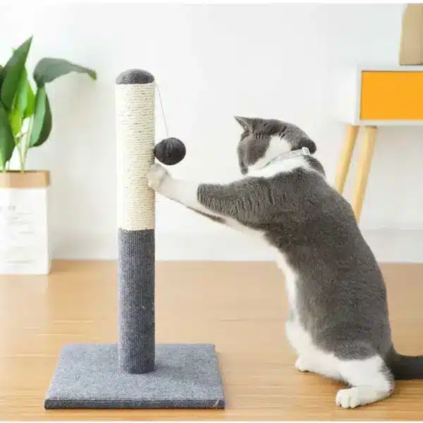 Cat Scratching Post with Hanging Toy