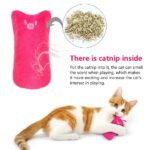 Smiley Cat Chew Toy with Catnip Inside - Image 3