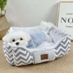 Lala Fleece Comfortable Dog Bed at Petsasa petstore