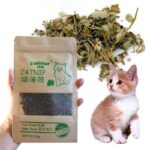 Natural-Premium-Catnip-For-Cat-Cattle-Grass-10g-Menthol-Flavor-In-Kigali-Rwanda-On-Spawtive