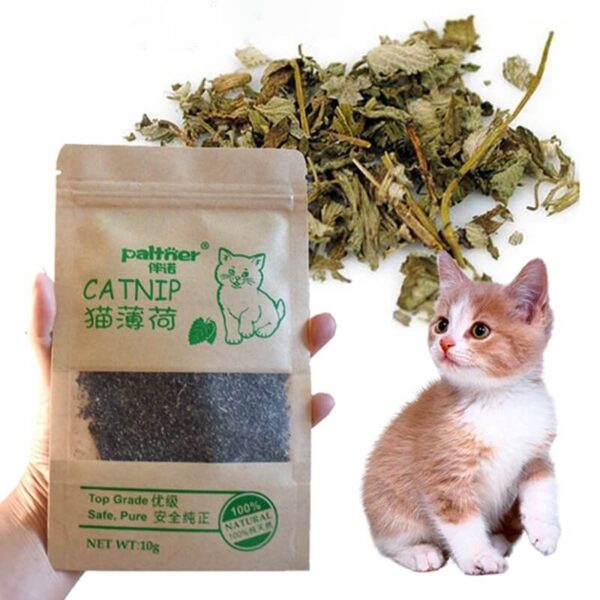 Natural-Premium-Catnip-For-Cat-Cattle-Grass-10g-Menthol-Flavor-In-Kigali-Rwanda-On-Spawtive
