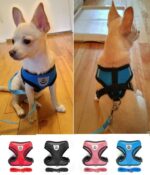 Best Small & Medium Breed Dog Harness +Free Leash in Rwanda