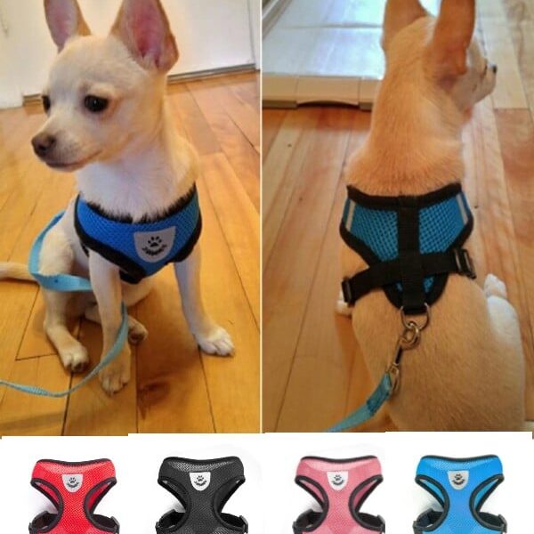 Best Small & Medium Breed Dog Harness +Free Leash in Rwanda