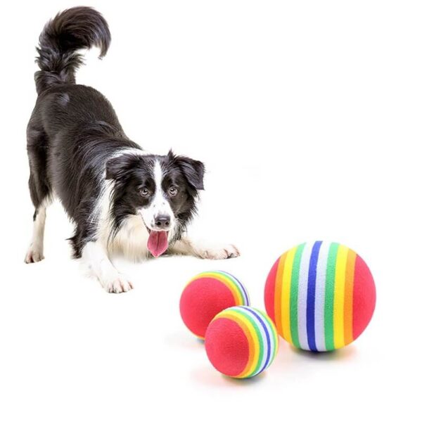 Rainbow Rubber Ball Toy for Dogs and Cats in Rwanda