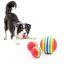 Rainbow Rubber Ball Toy for Dogs and Cats in Rwanda