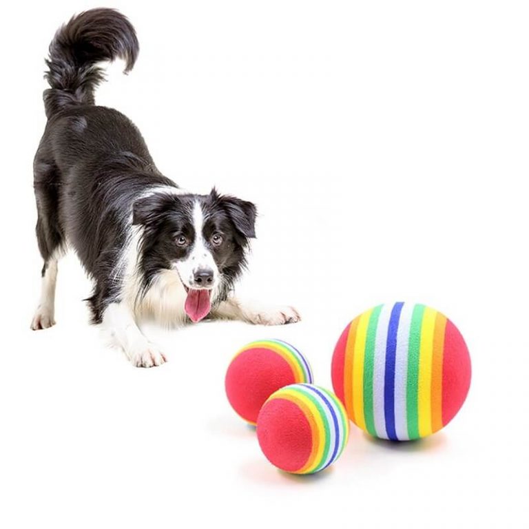 Rainbow Rubber Ball Toy for Dogs and Cats in Rwanda