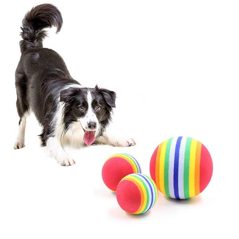 Rainbow Rubber Ball Toy for Dogs and Cats in Rwanda Rainbow Rubber Ball Toy for Dogs and Cats in Rwanda