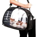 Useful Wide View Travel Pet Carrier Shoulder Bag For Cats and Puppies