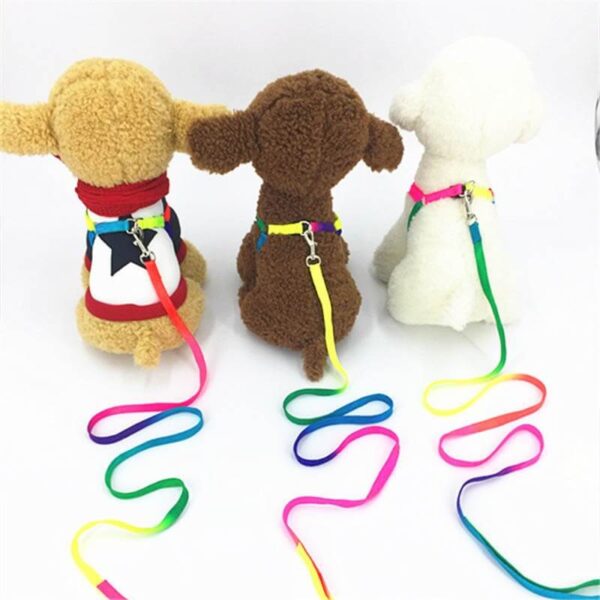 Walking-Dog-Harness-Lead-Leash-Dog-Collar-Pet-Durable-Traction