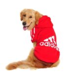 Adidog Red Casual Dog Hoodies
