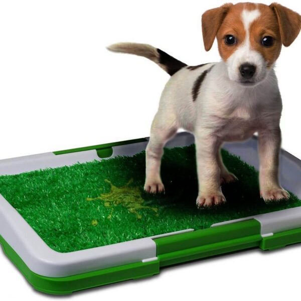 Buy Dog Toilet Potty Trainer Pad Holder