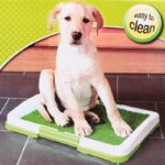 Buy 3 Layers' Dog Potty Pad Trainer in Rwanda