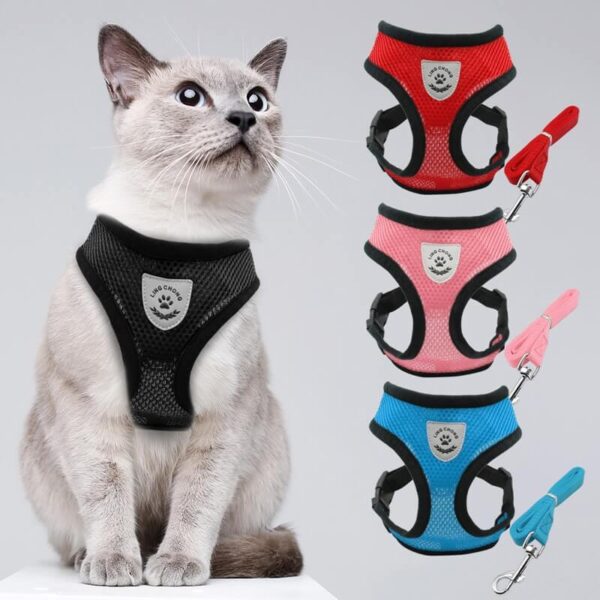 Spawtive Breathable Mesh Cat Pet Harness and Leash Set in Rwanda