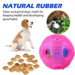 Buy Interactive Slow Food and Teeth Cleaning Throw Ball Dog Toy in Rwanda