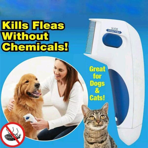 Flea Doctor Electronic Flea Comb for Dogs & Cats in Rwanda