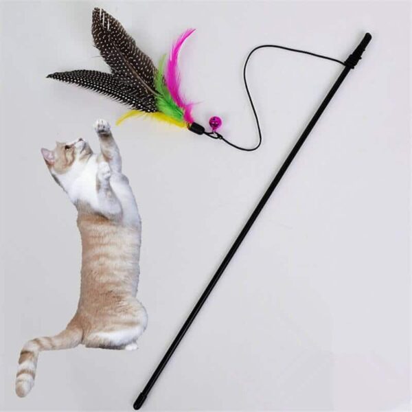Bird Feather Teaser Wand Cat Toy