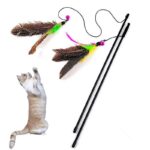 Bird Feather Teaser Wand Cat Toy