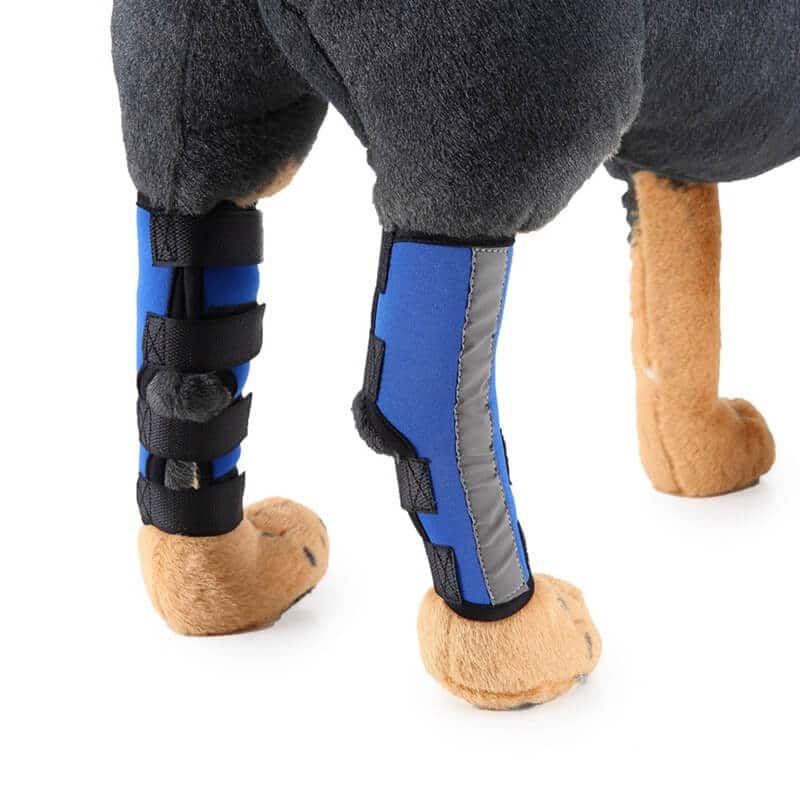 Petsasa Dog Leg Hock Brace Compression Bandage Petsasa Dog Leg Hock Brace Compression Bandage