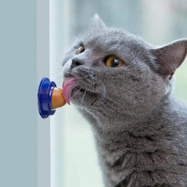Buy Catnip Candy Cat Snack in Rwanda on PetSasa