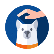 Buy Dog Training and Behaviour Supplies in Rwanda on PetSasa