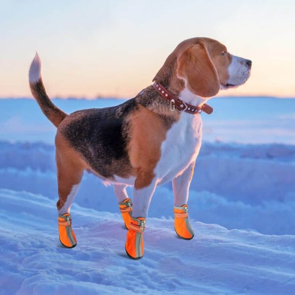 Buy Waterproof Anti-slip Reflective Pet Rain Boots Dog Shoes in Rwanda