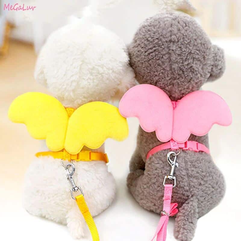 Angel-Wings-Costume-Dog-Cat-Harness-Leash-in-Rwanda Angel Wings Pet Harness & Leash for Cats, Dogs & Rabbits - Image 1