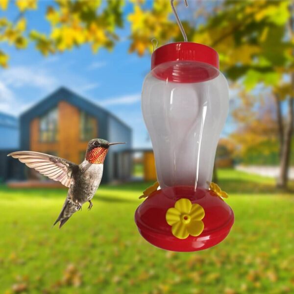 Best Hummingbird Bird Nectar Feeder Drinker in Kigali Rwanda on Petsasa
