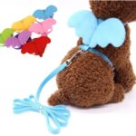 Buy-Angel-Wing-Small-Dog-Cat-Harness-and-Leash-Set-Adjustable-Puppy-Harness-Nylon-Strap-Collar-in-Kigali-Rwanda-on-petsasa-petstore-online