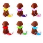 Buy Angel Wings Pet Harness & Leash Set for Small Dogs, Cats and Rabbits in Rwanda on Petsasa