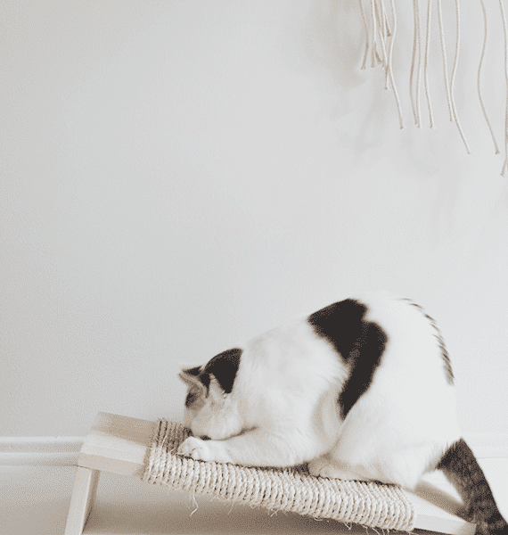 Petsasa-Purffect-cat-scratcher-cat-scratch-plank-board