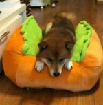 Funny Hot Dog Bed Warm Washable Pet Bed - Image 3