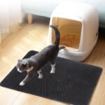 Buy Best Cat litter mat in Rwanda on Petsasa