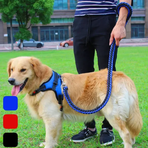 Petsasa Padded Back Sports Big Dog Harness + Leash Shop Dog Leash in Rwanda at Petsasa