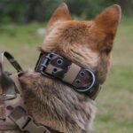 Military Tactical Dog Collar for K9 Big Dog on Petsasa Rwanda