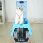 Best Airline Pet Carrier Dog Kennel Cat Dog Carrier in Rwanda on Petsasa Petstore Rwanda